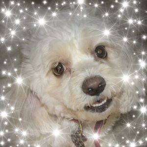 Meet your Posher, Darlene